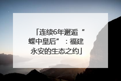 连续6年邂逅“蝶中皇后”：福建永安的生态之约