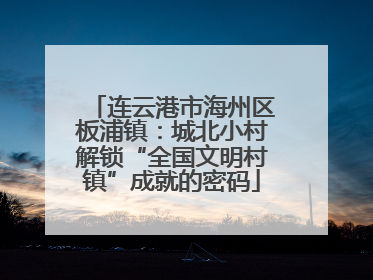 连云港市海州区板浦镇：城北小村解锁“全国文明村镇”成就的密码