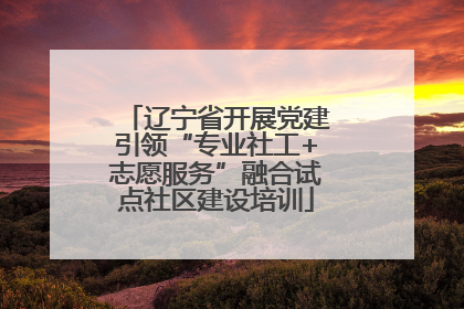 辽宁省开展党建引领“专业社工+志愿服务”融合试点社区建设培训
