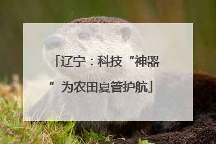 辽宁：科技“神器”为农田夏管护航