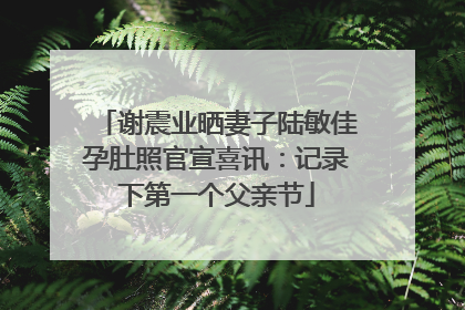 谢震业晒妻子陆敏佳孕肚照官宣喜讯：记录下第一个父亲节