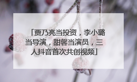 贾乃亮当投资，李小璐当导演，甜馨当演员，三人抖音首次共创视频