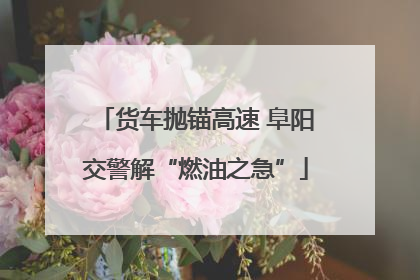 货车抛锚高速 阜阳交警解“燃油之急”