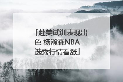 赴美试训表现出色 杨瀚森NBA选秀行情看涨