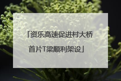 资乐高速促进村大桥首片T梁顺利架设