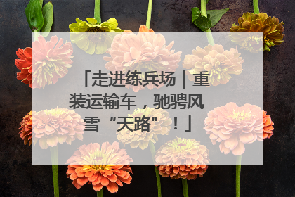 走进练兵场｜重装运输车，驰骋风雪“天路”！