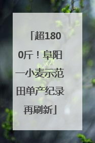 超1800斤！阜阳一小麦示范田单产纪录再刷新