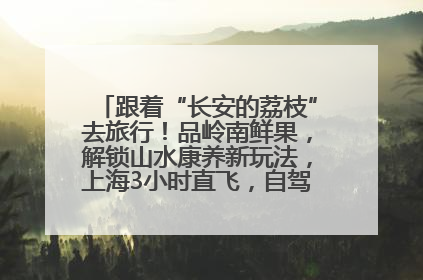 跟着“长安的荔枝”去旅行！品岭南鲜果，解锁山水康养新玩法，上海3小时直飞，自驾高速费优惠