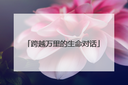 跨越万里的生命对话