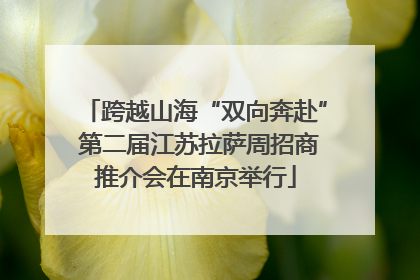 跨越山海“双向奔赴” 第二届江苏拉萨周招商推介会在南京举行
