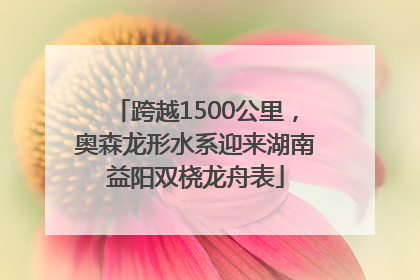 跨越1500公里，奥森龙形水系迎来湖南益阳双桡龙舟表