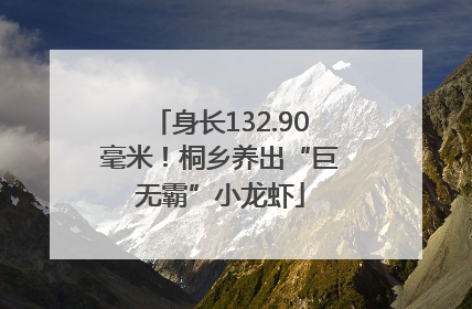 身长132.90毫米！桐乡养出“巨无霸”小龙虾