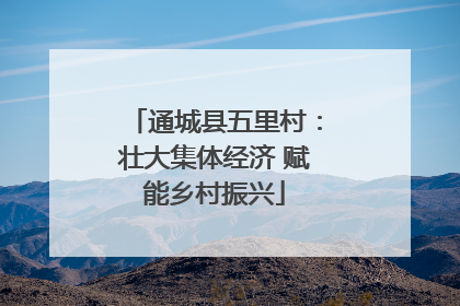 通城县五里村：壮大集体经济 赋能乡村振兴