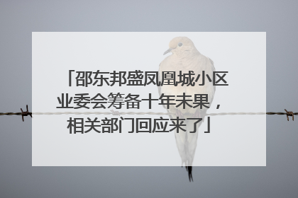邵东邦盛凤凰城小区业委会筹备十年未果，相关部门回应来了