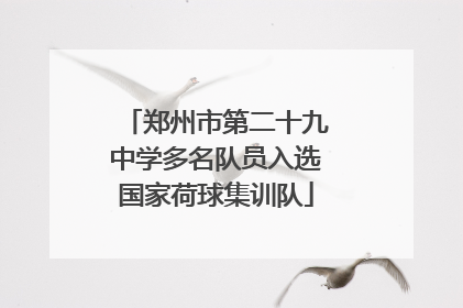 郑州市第二十九中学多名队员入选国家荷球集训队