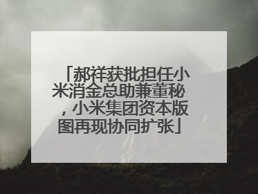 郝祥获批担任小米消金总助兼董秘，小米集团资本版图再现协同扩张
