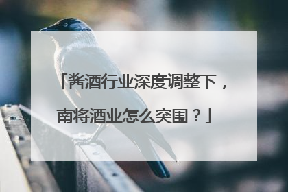 酱酒行业深度调整下，南将酒业怎么突围？