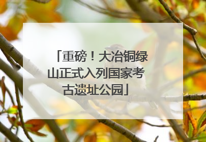 重磅！大冶铜绿山正式入列国家考古遗址公园