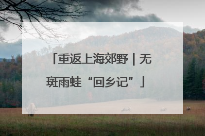 重返上海郊野｜无斑雨蛙“回乡记”
