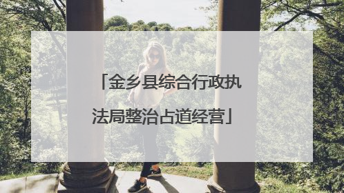 金乡县综合行政执法局整治占道经营