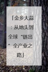 金乡大蒜：从地头到全球“链出”全产业之路