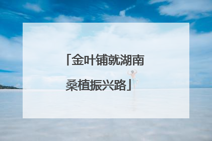 金叶铺就湖南桑植振兴路