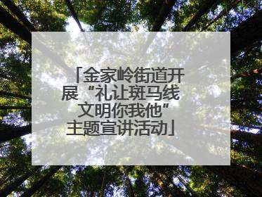 金家岭街道开展“礼让斑马线 文明你我他”主题宣讲活动