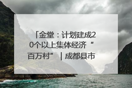 金堂：计划建成20个以上集体经济“百万村”｜成都县市新城高质量发展