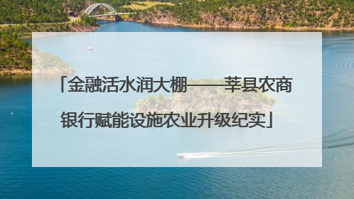 金融活水润大棚——莘县农商银行赋能设施农业升级纪实