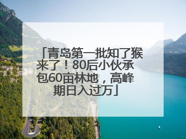 青岛第一批知了猴来了！80后小伙承包60亩林地，高峰期日入过万
