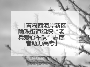 青岛西海岸新区隐珠街道组织“老兵爱心车队”志愿者助力高考