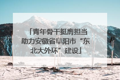 青年骨干挺膺担当 助力安徽省阜阳市“东北大外环”建设