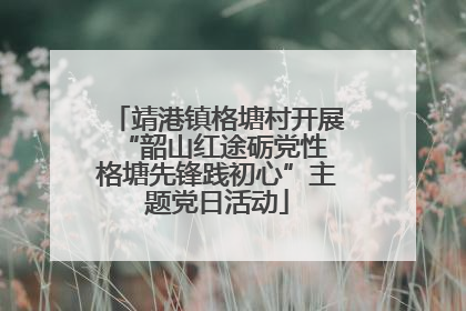 靖港镇格塘村开展“韶山红途砺党性 格塘先锋践初心”主题党日活动