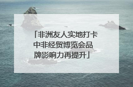 非洲友人实地打卡 中非经贸博览会品牌影响力再提升