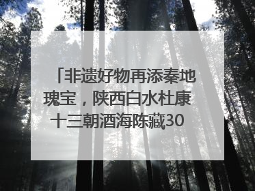 非遗好物再添秦地瑰宝，陕西白水杜康十三朝酒海陈藏30年别具一格