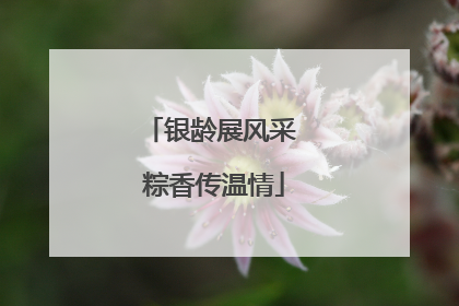 银龄展风采 粽香传温情