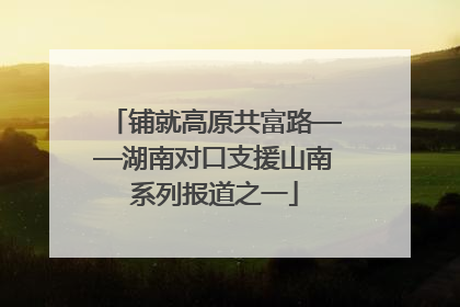 铺就高原共富路——湖南对口支援山南系列报道之一