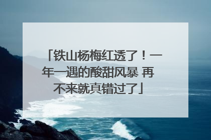铁山杨梅红透了！一年一遇的酸甜风暴 再不来就真错过了