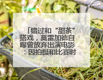 错过和“甜茶”搭戏，莫雷加德自曝曾放弃出演电影：因拍摄和比赛时间冲突