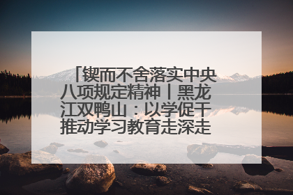 锲而不舍落实中央八项规定精神丨黑龙江双鸭山：以学促干推动学习教育走深走实 从小事入手写好“民生答卷”