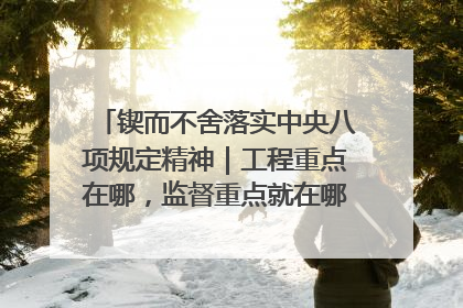 锲而不舍落实中央八项规定精神｜工程重点在哪，监督重点就在哪——广西深化政治监督护航平陆运河建设