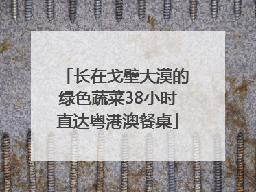 长在戈壁大漠的绿色蔬菜38小时直达粤港澳餐桌