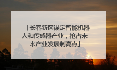 长春新区锚定智能机器人和传感器产业，抢占未来产业发展制高点