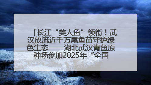 长江“美人鱼”领衔！武汉放流近千万尾鱼苗守护绿色生态——湖北武汉青鱼原种场参加2025年“全国放鱼日”增殖放流活动