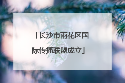 长沙市雨花区国际传播联盟成立