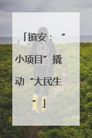 镇安：“小项目”撬动“大民生”