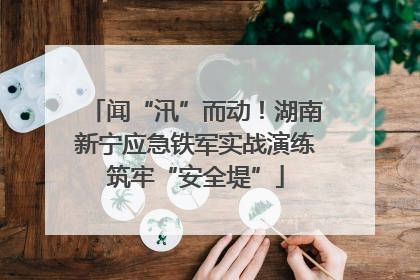 闻“汛”而动！湖南新宁应急铁军实战演练筑牢“安全堤”