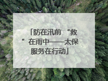 防在汛前 “救”在雨中——太保服务在行动