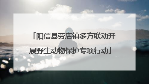 阳信县劳店镇多方联动开展野生动物保护专项行动