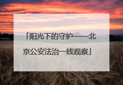 阳光下的守护——北京公安法治一线观察